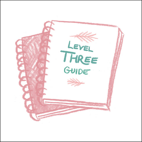 3rd Grade Teacher Guide, Semester 2
